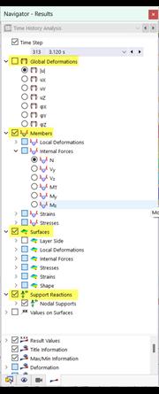 "时间历程分析"导航器中的结果