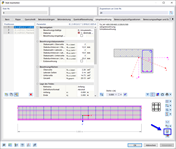 '显示钢筋布置'按钮