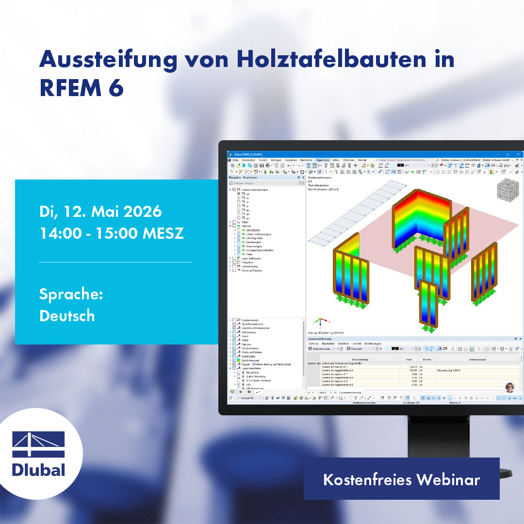 RFEM 6 中木框架建筑的支撑加固